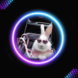 Kick Profile Pic