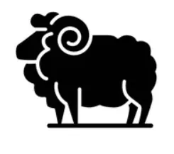 AulaFlamel