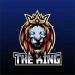 leonsegamer1