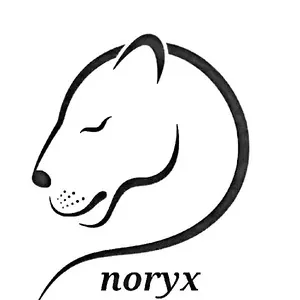 nory11x