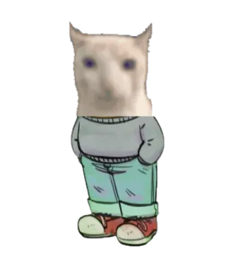 wjqdma