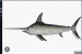 SSwordfysh