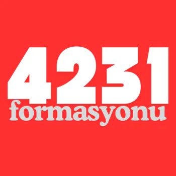 4231Formasyonu