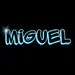 Miguelfpss