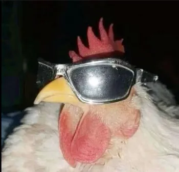 Maddkid