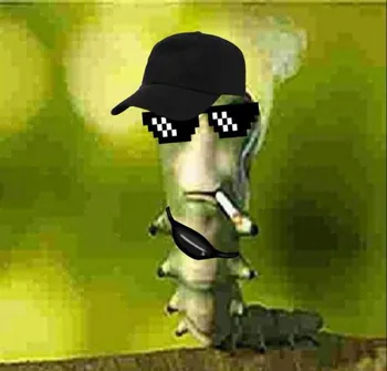 Vybora