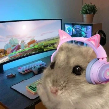 Hamstercita
