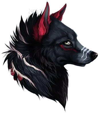 DustinWolf43