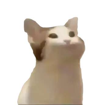 luccaxd12345