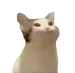 luccaxd12345