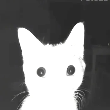 coppukiki