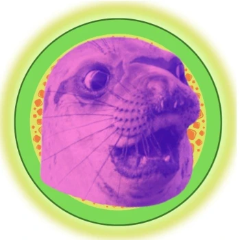 FokaMind