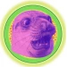 FokaMind