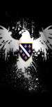 bosnian-villain