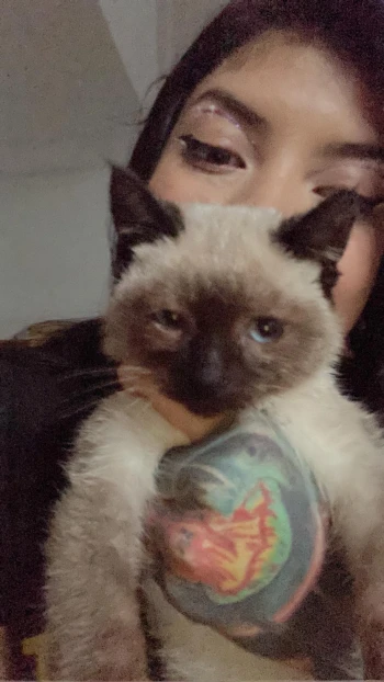 tamika_snw