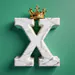 KingXuman