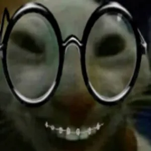 Donilol7
