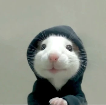 Luvon Kick Profile Picture