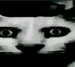 NotFallenzz