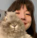 kimchiselin