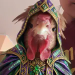 Simbaa_gg Kick