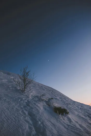 mrbluehour