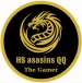 HSasasinsQQ
