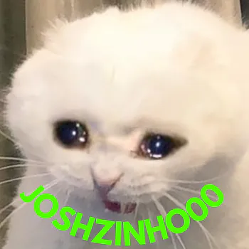 joshzinho00