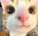 YeicobisCG
