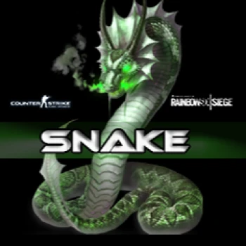 Snaakee