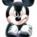 Shcket072