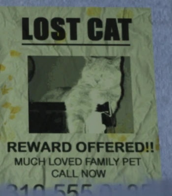 bd28b835-f4a2-43e6-9153-2ea98d0561a1