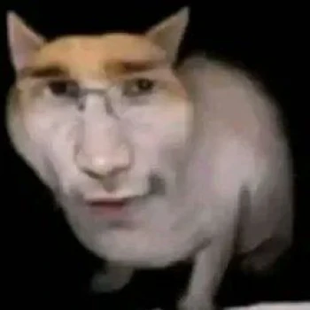 UnCanalMasESPECIAL2025