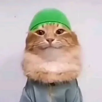 Poratmn