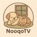 nooqotv