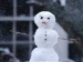 Winter_Chill
