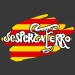 despertaferrotv