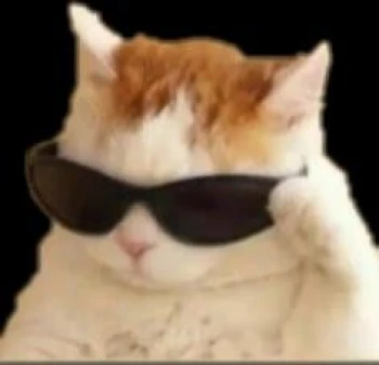 octacamu