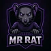 Mr_R4T
