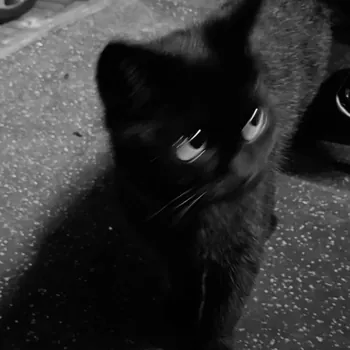 Tyzen_X