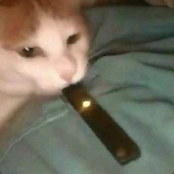 OhCalvin