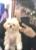 babyzeuxito25