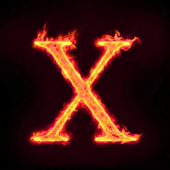 XMaxxOnyxX