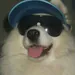 ScrachiiBongo