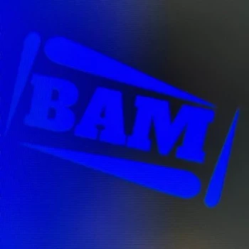 1m_bam