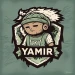 THEYAMIRSV