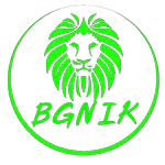 BGNIK Kick