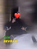 Yasko93100