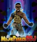 Majorparkerssj