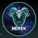 HLSNerek